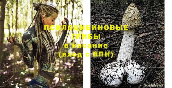 ALPHA-PVP Дмитровск