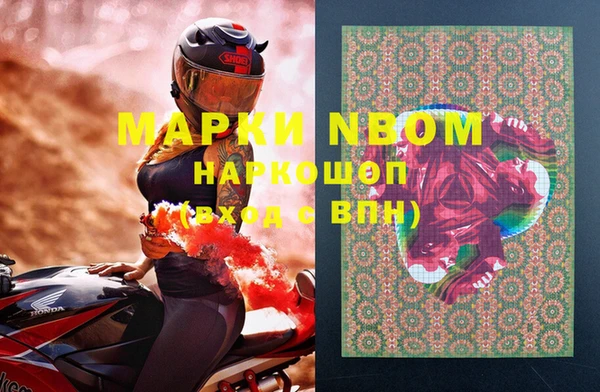 ГАЛЛЮЦИНОГЕННЫЕ ГРИБЫ Елабуга