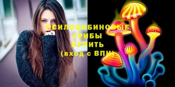 ГАЛЛЮЦИНОГЕННЫЕ ГРИБЫ Елабуга