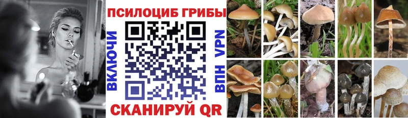 Псилоцибиновые грибы MAGIC MUSHROOMS  Купить где  Духовщина 